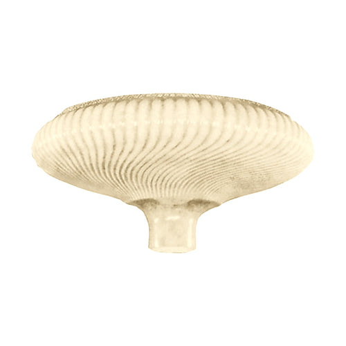Replacement lamp shades