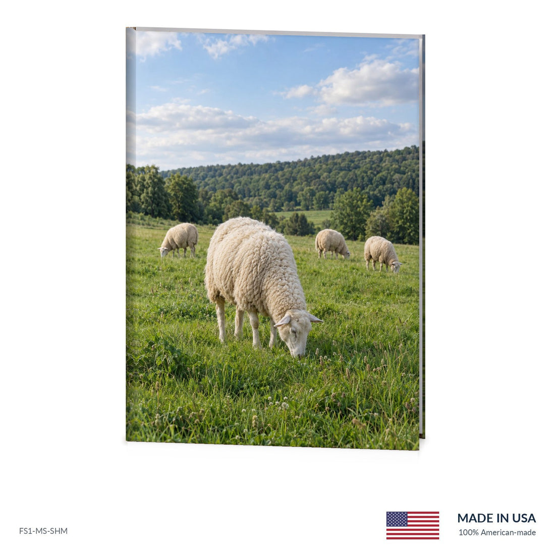 Sheep Meadow Funeral Register Book
