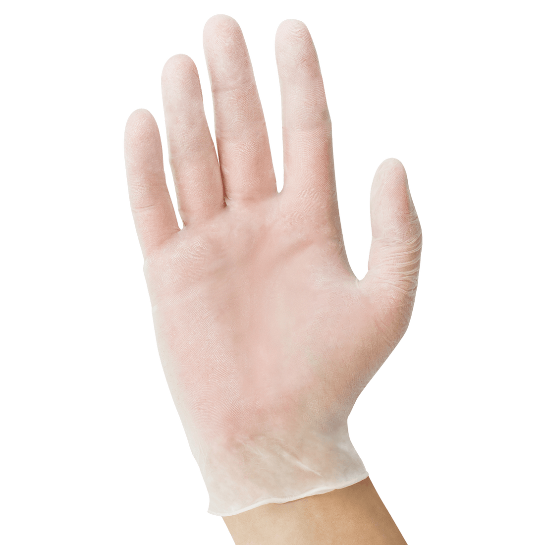 USPE Clear Vinyl Exam Gloves – Case