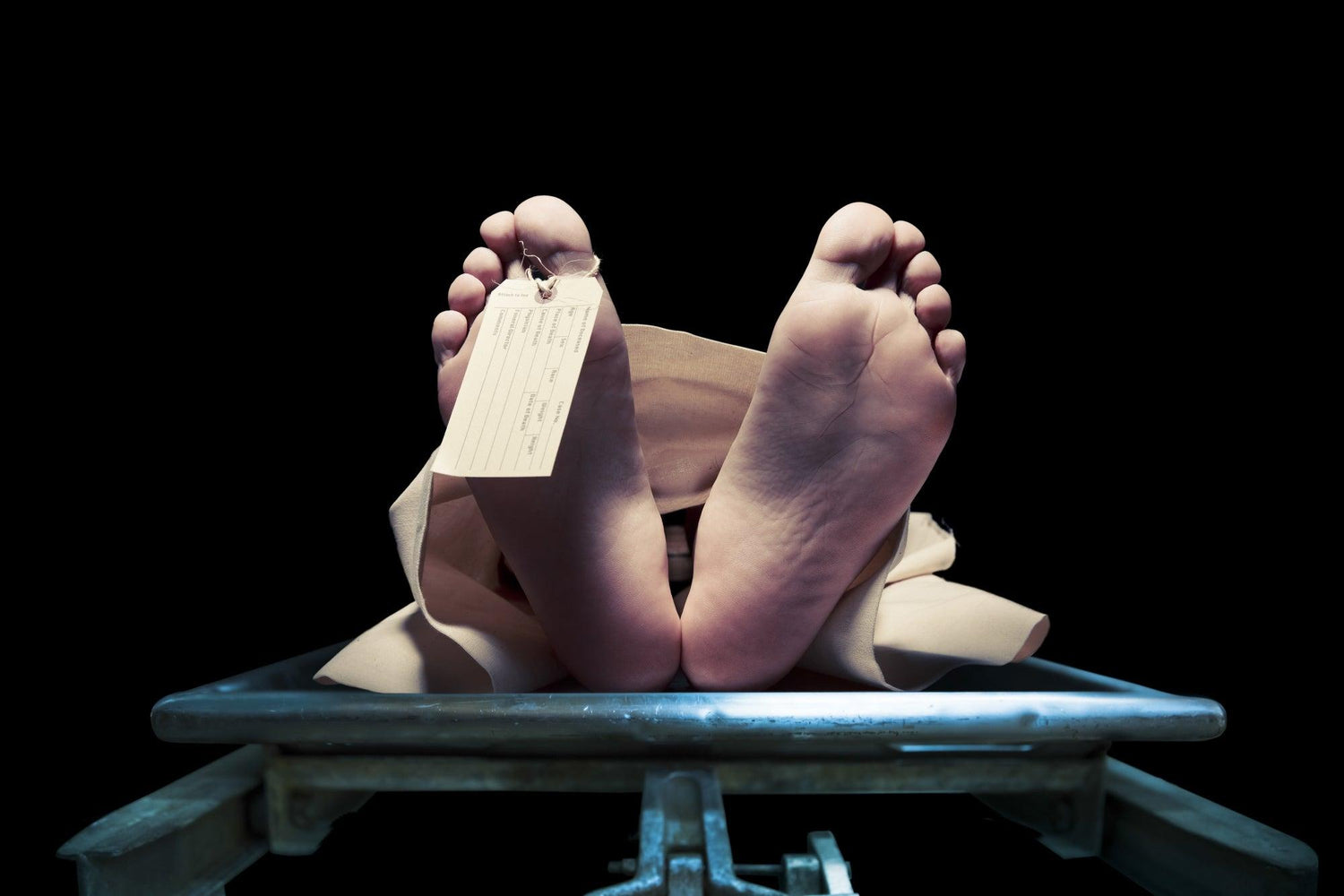 4 Mortuary Racks for Your Walk-In Body Cooler - American Mortuary Coolers & Equipments