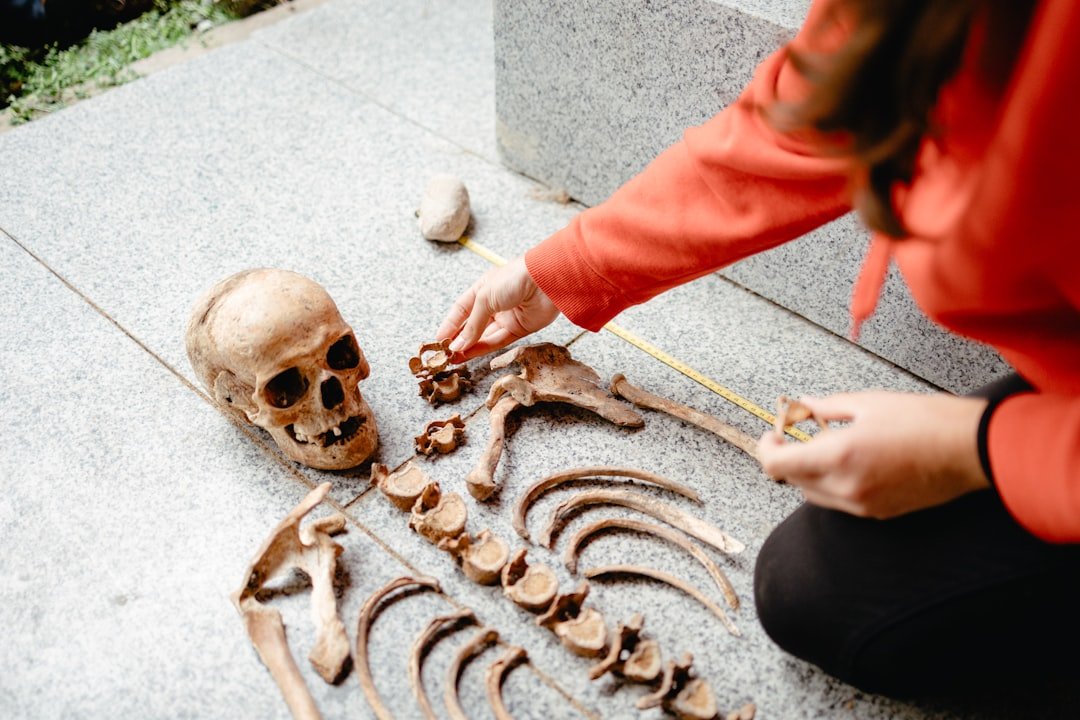 Beginner's Guide to Forensic Anthropology - American Mortuary Coolers & Equipments