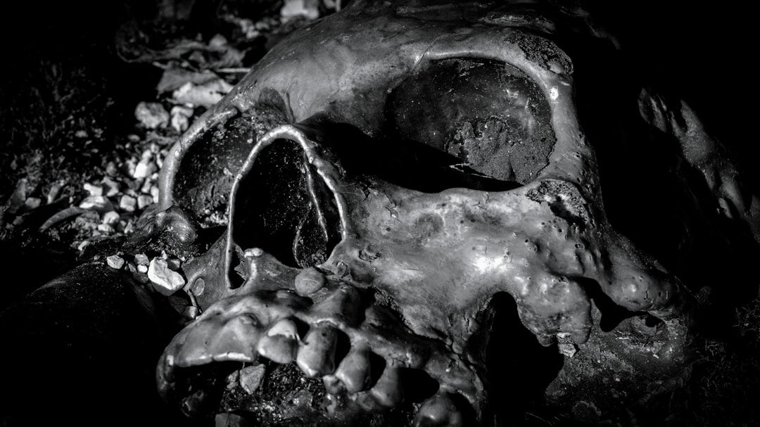 Everything You Need to Know About Decomposed Bodies and Their Process - American Mortuary Coolers & Equipments