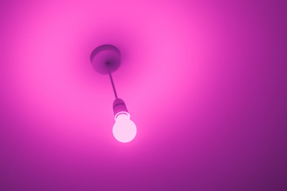 Everything You Need to Know About Pink Light Bulbs - American Mortuary Coolers & Equipments