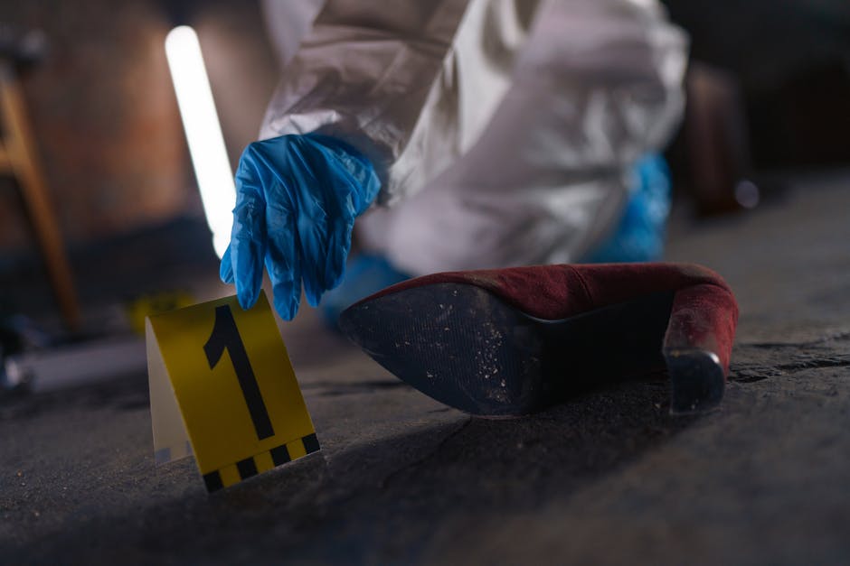 Forensics Fun Facts – How Science Cracks the Case - American Mortuary Coolers & Equipments