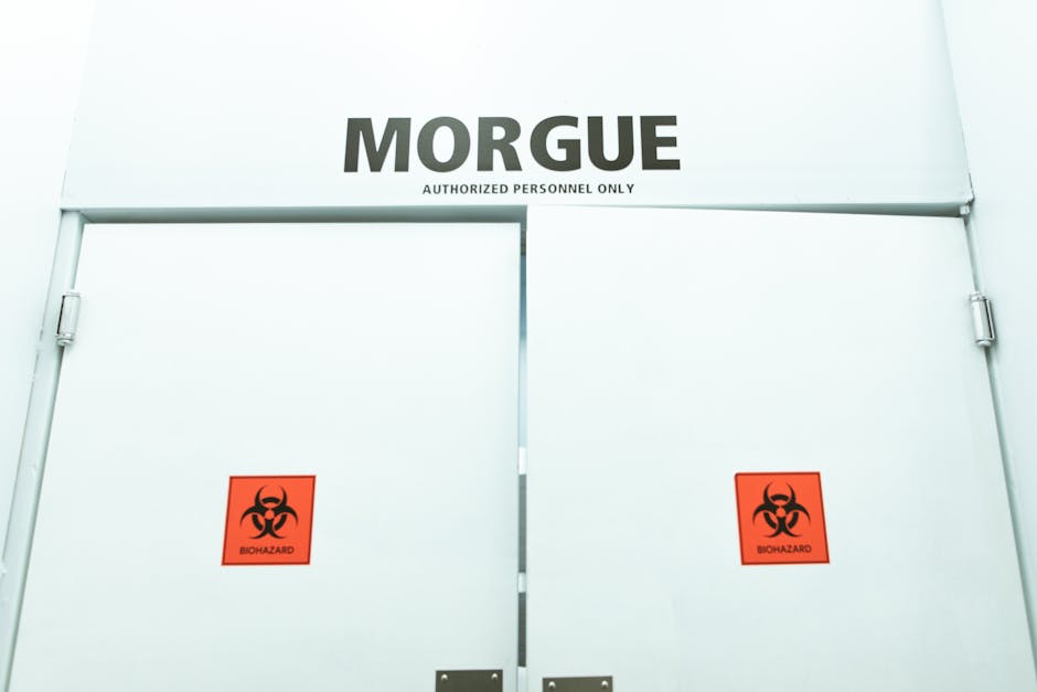 Keeping Cool: The Essential Guide to Morgue Freezers - American Mortuary Coolers & Equipments