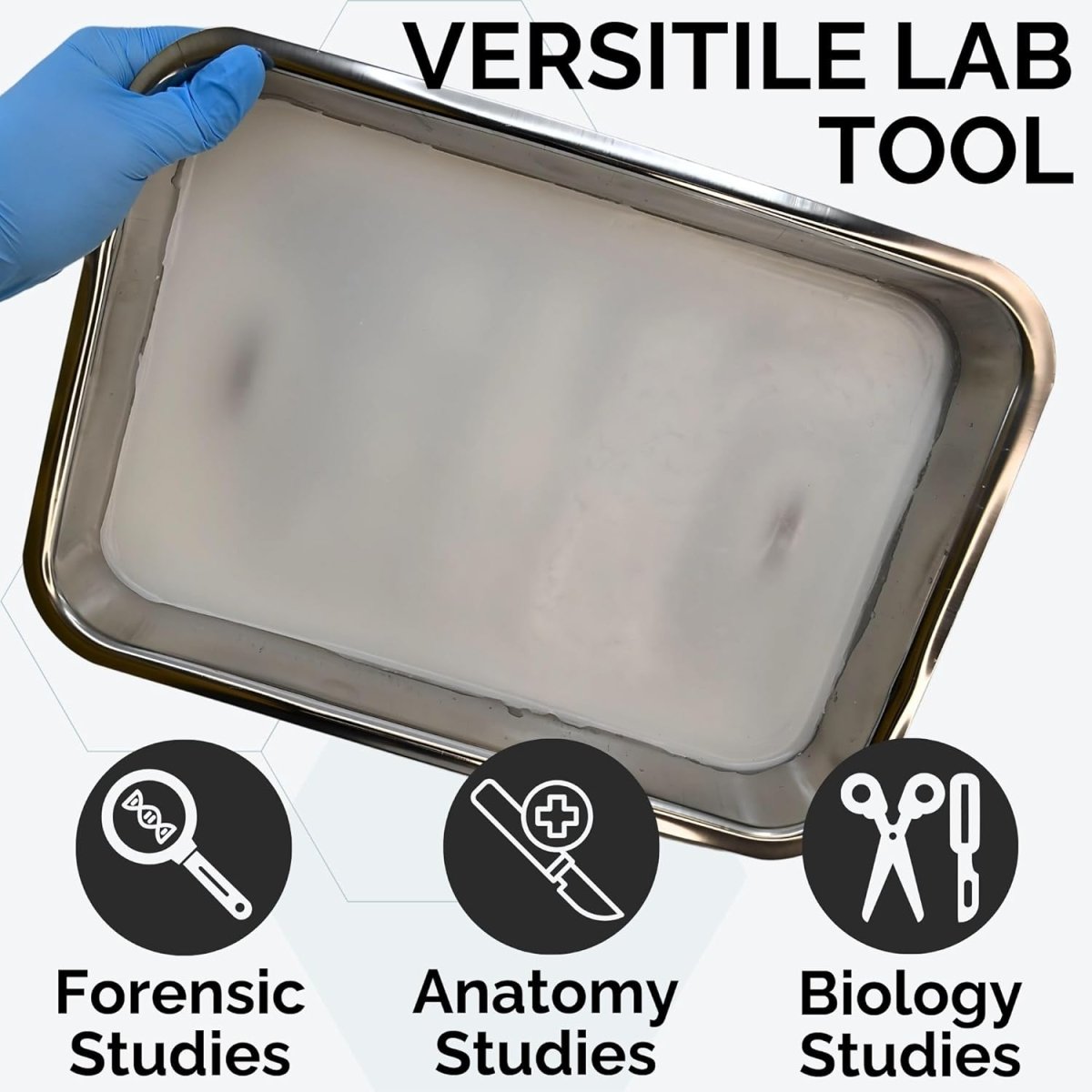 Dissecting Instruments, Trays & Pans | Anatomy & Autopsy Labs ...