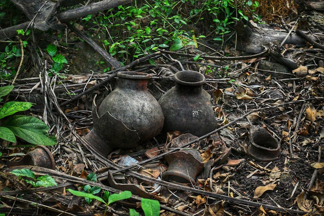The Ultimate Guide to Choosing Burial Urns for Ashes - American Mortuary Coolers & Equipments