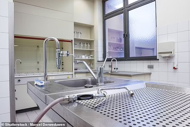 Understanding DMORT Teams in Disaster Response - American Mortuary Coolers & Equipments