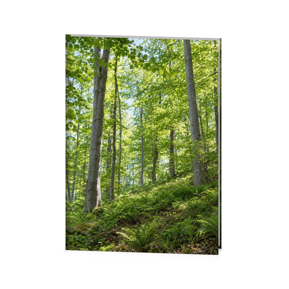 Beech Grove Funeral Register Book