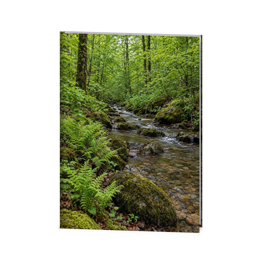 Fern-Lined Creek Funeral Register Book