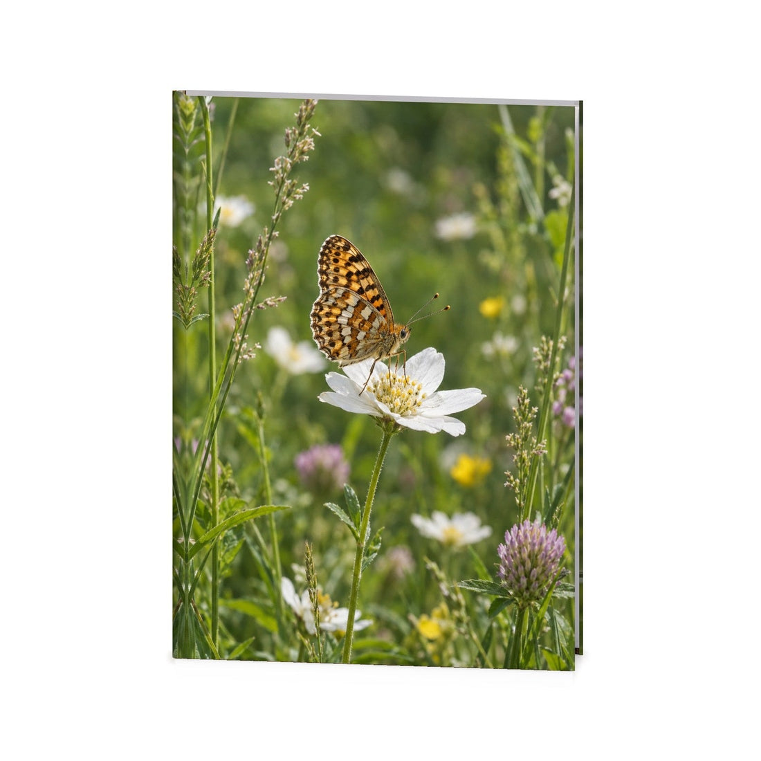 Garden Butterfly Funeral Register Book