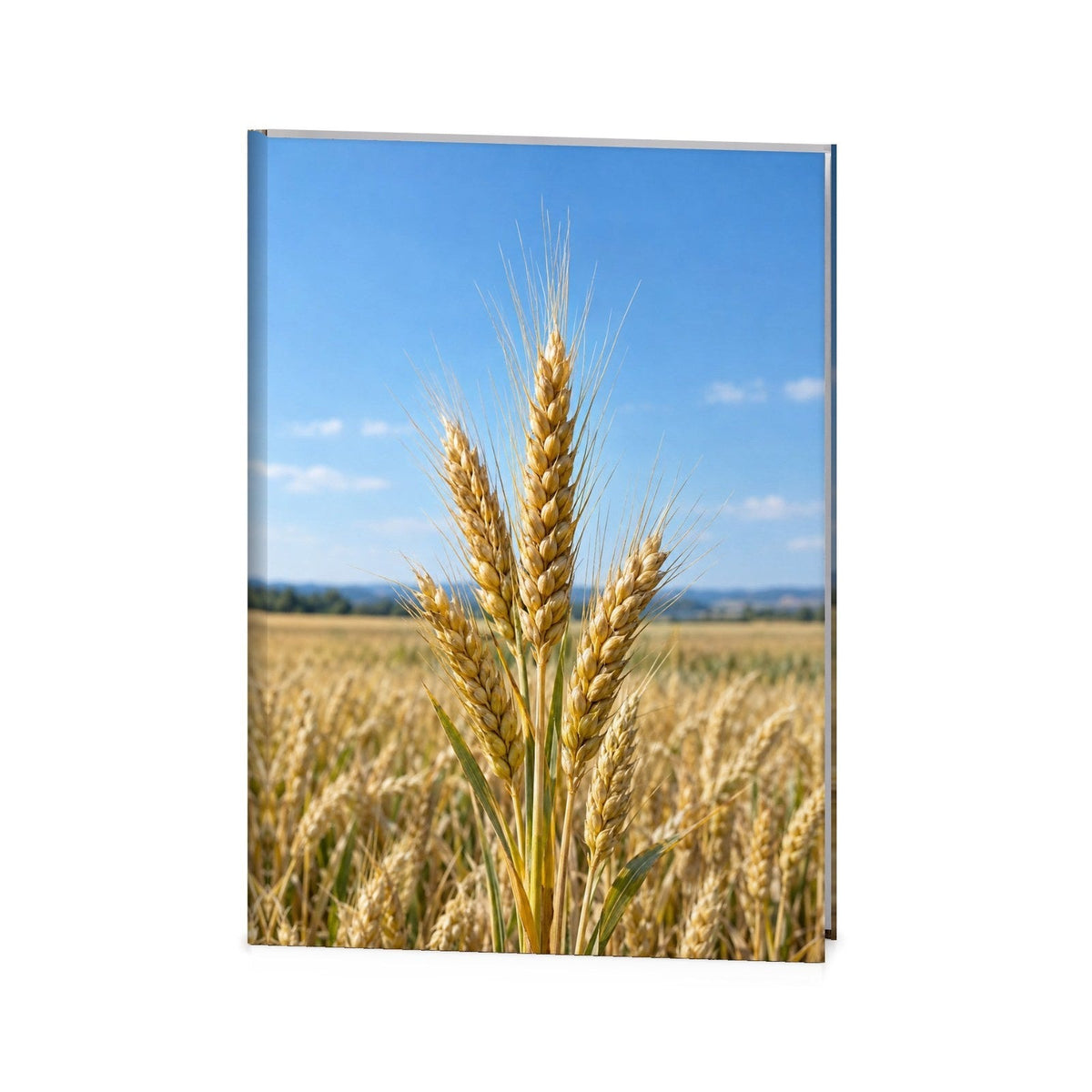 Golden Wheat Funeral Register Book
