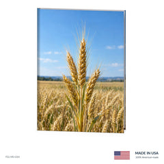 Golden Wheat Funeral Register Book