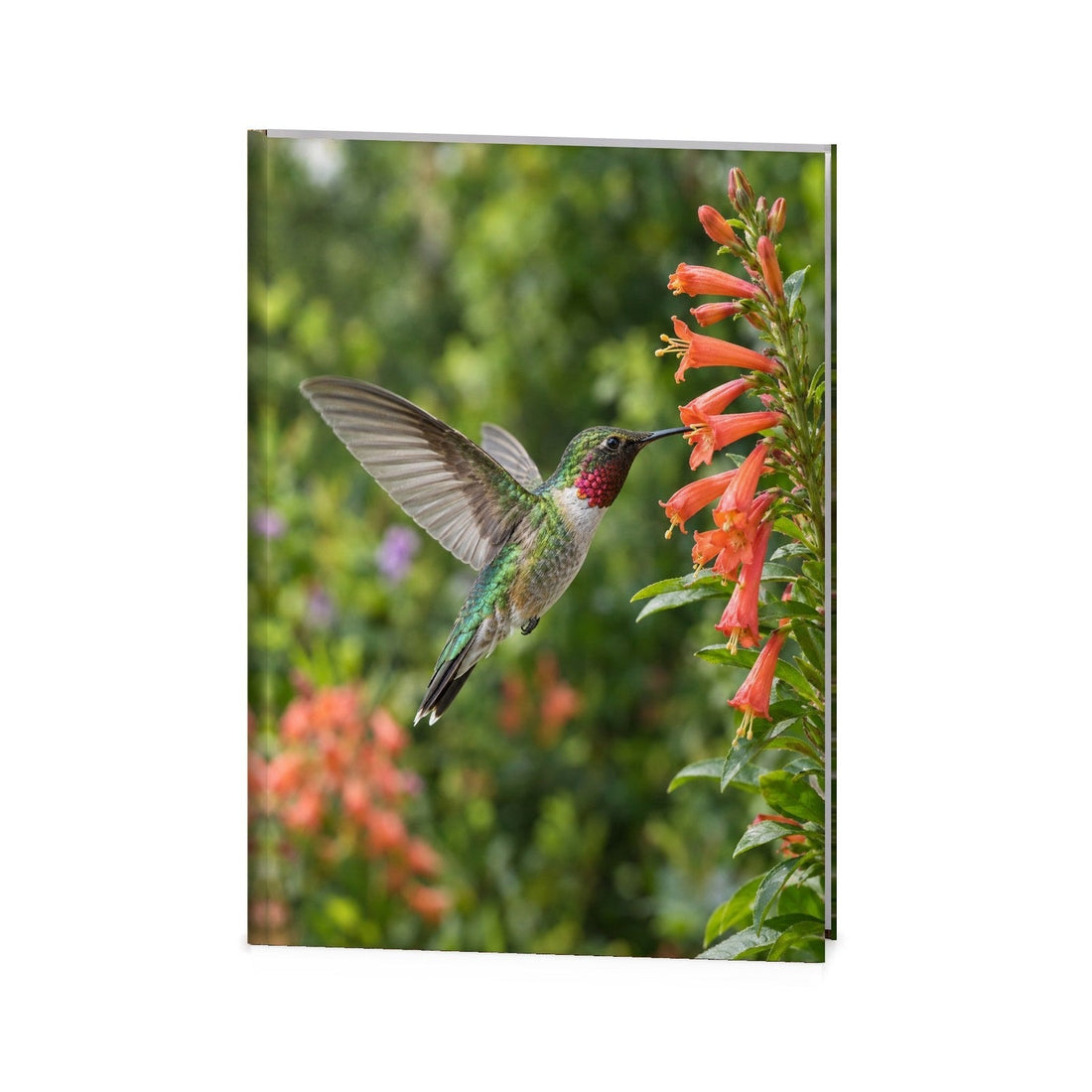 Hummingbird Garden Funeral Register Book