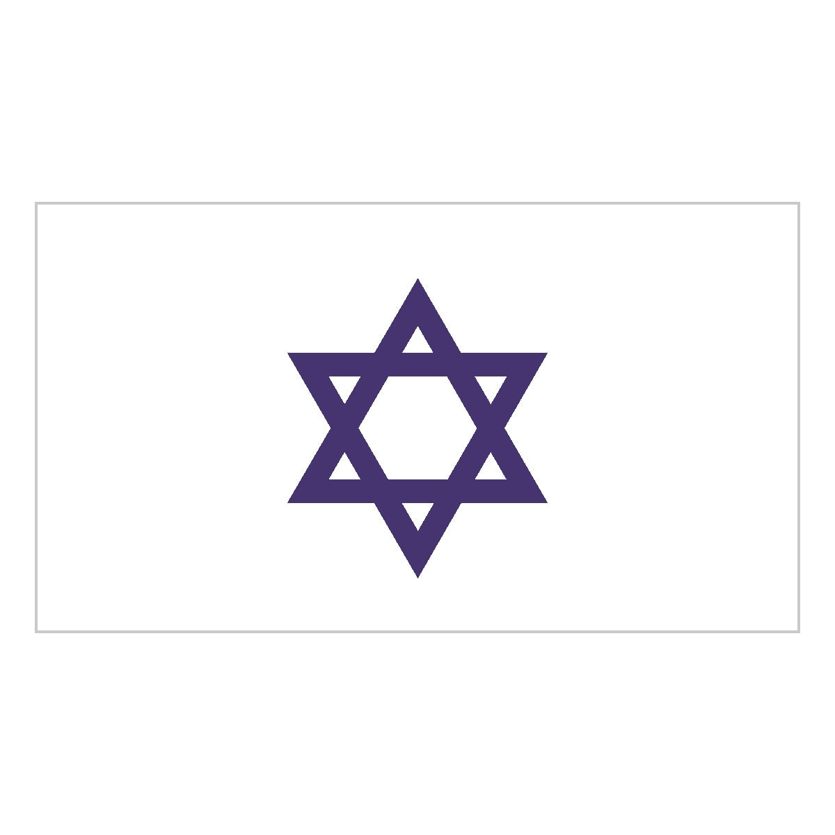 Lead car flag banner: Star of David – Purple on White