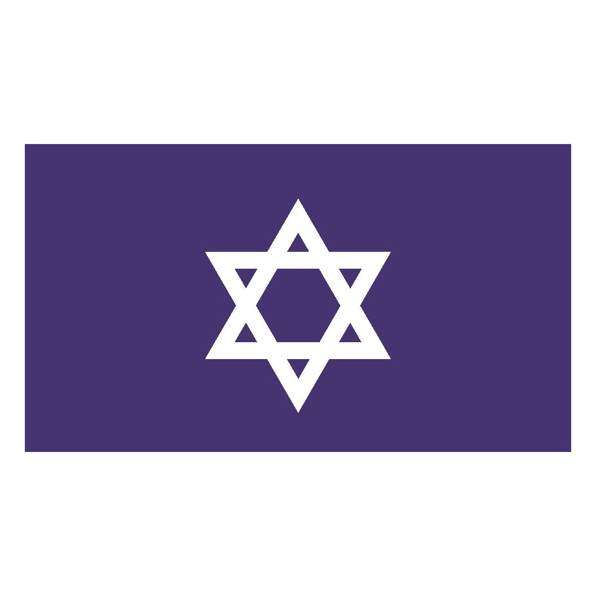 Lead car flag banner: Star of David – White on Purple