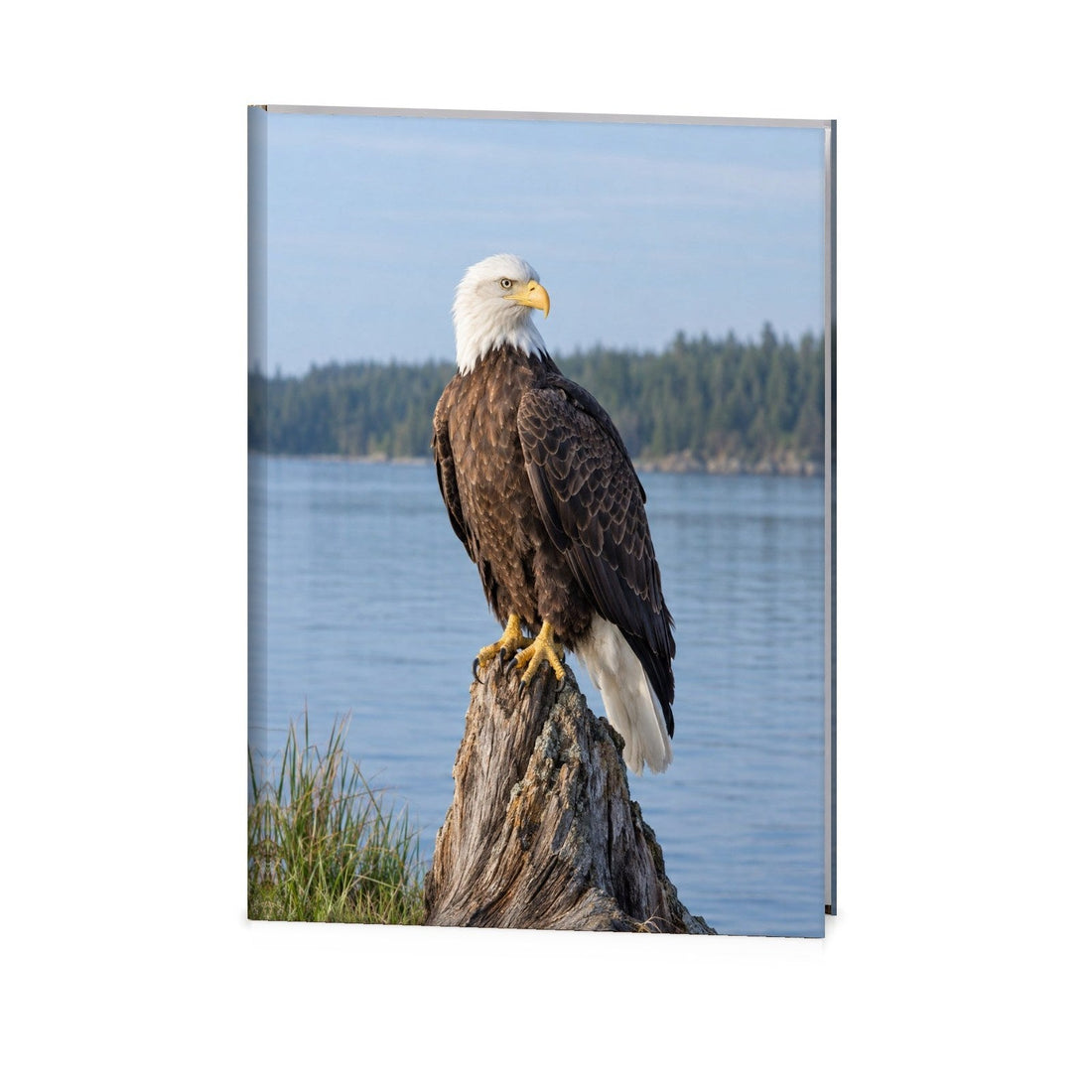 Perched Eagle Funeral Register Book