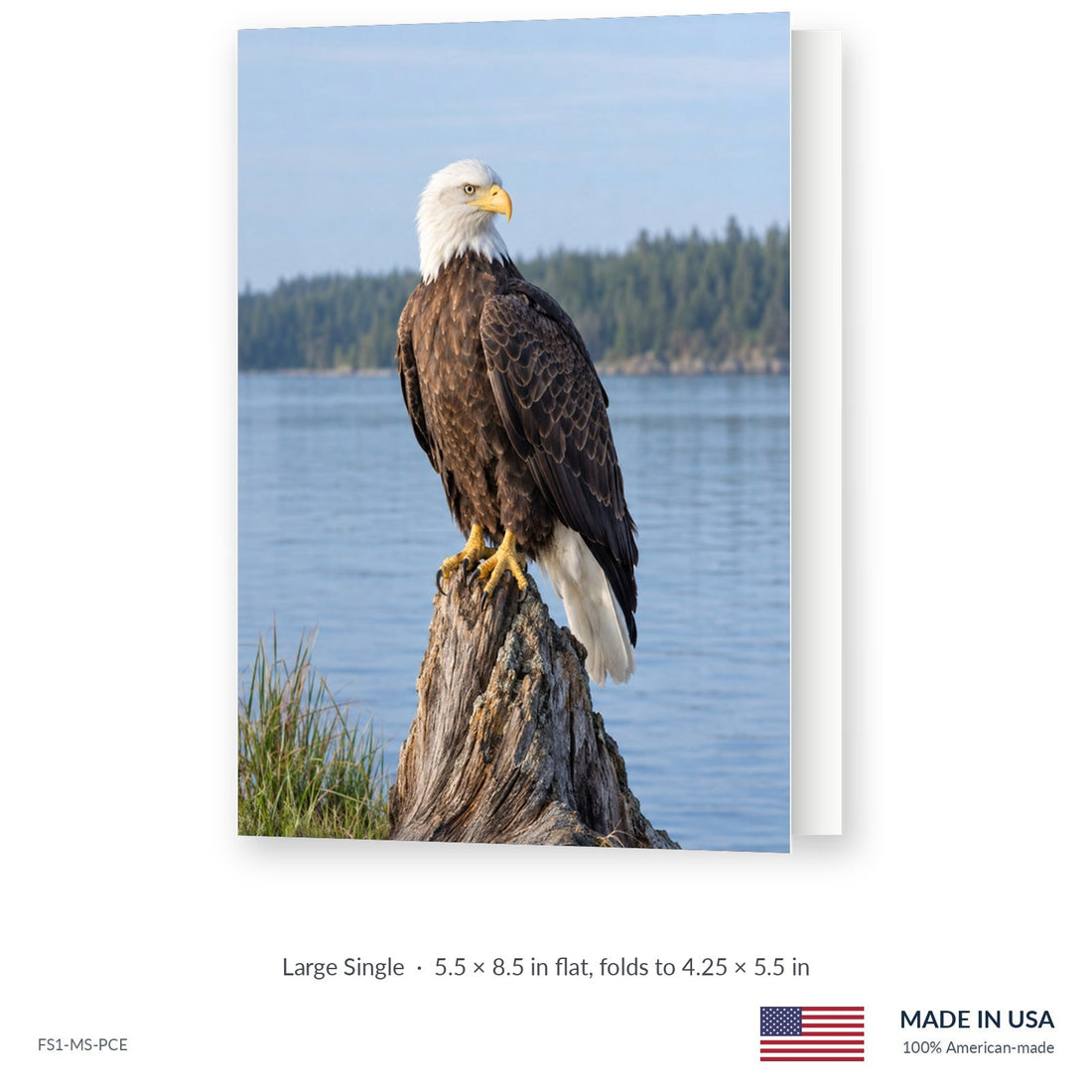 Perched Eagle Funeral Service Folders