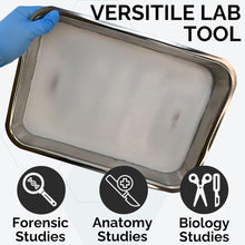 Stainless Steel Dissecting Tray with Wax – Model 1035 - 15BWB - American Mortuary Coolers & Equipments
