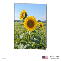 Summer Sunflowers Funeral Register Book