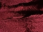 Actual Cardinal fabric swatch for TITAN replacement drapes