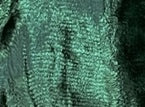 Actual Green fabric swatch for TITAN replacement drapes