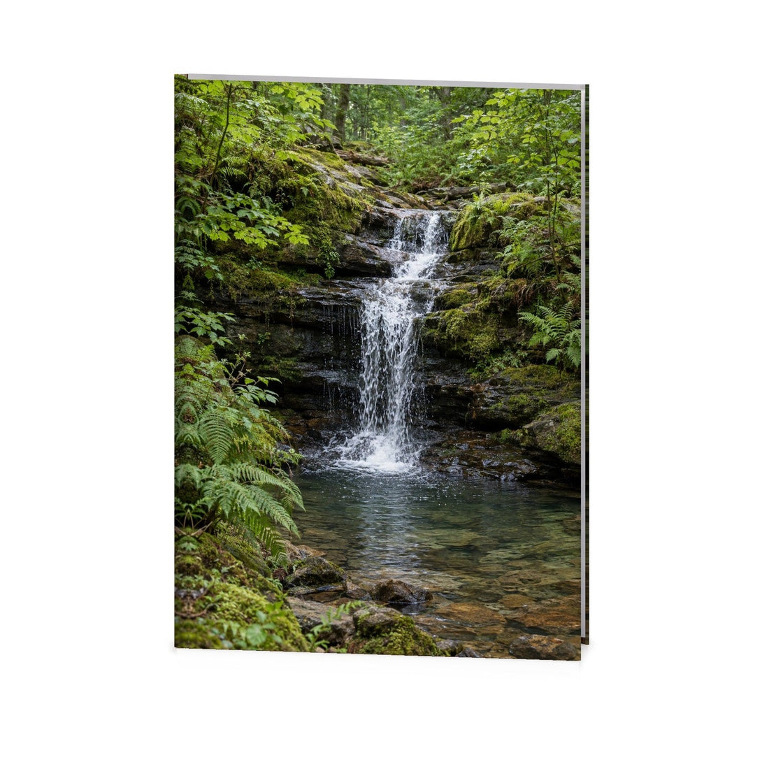 Woodland Waterfall Funeral Register Book
