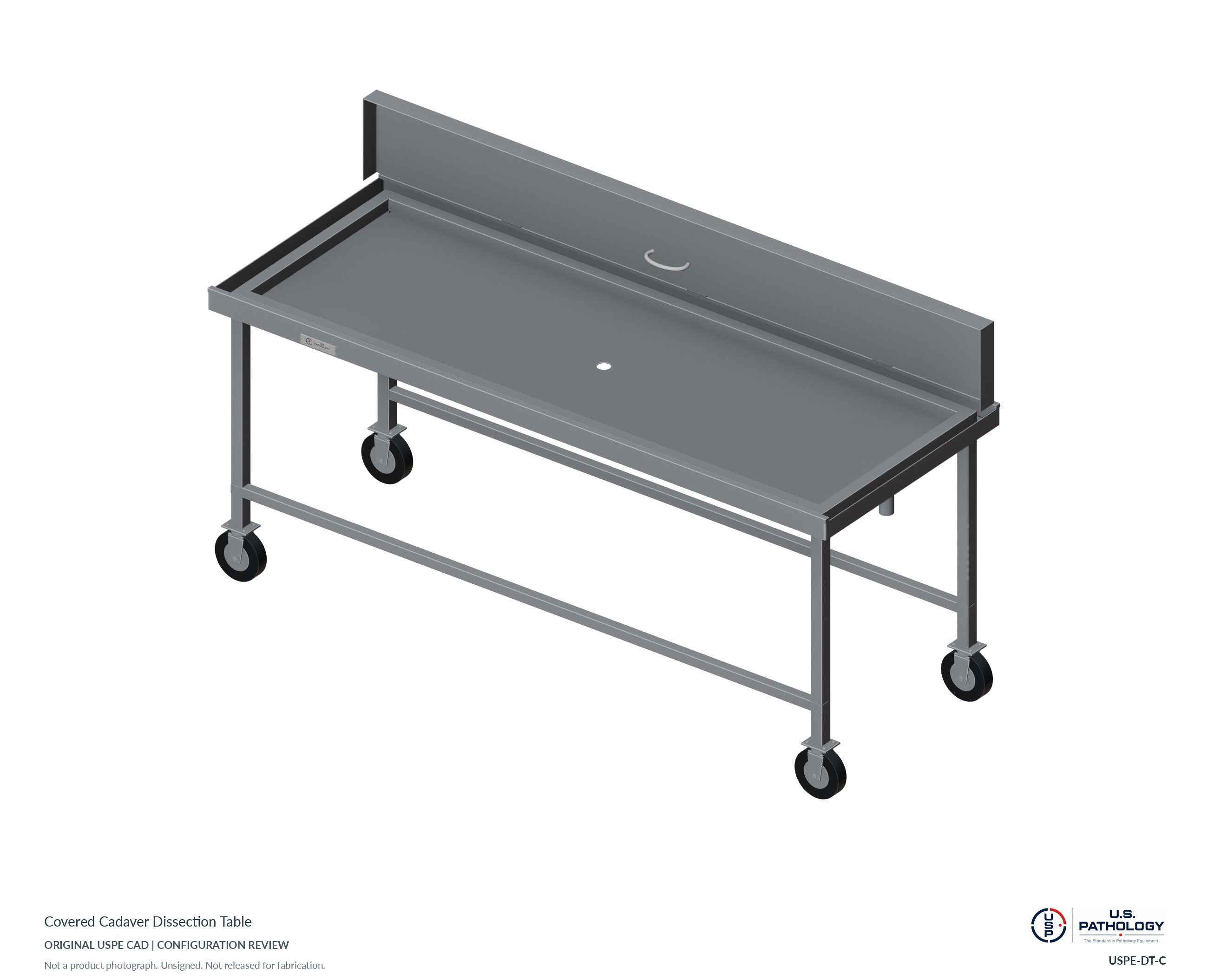 Covered Cadaver Dissection Table. CAD configuration review; not a photograph